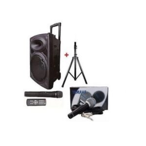 BAFFLE Enceinte Haut Parleur Bluetooth 1 Micro+ Pieds + 1 Micro Offert