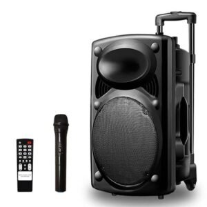 Enceinte Bluetooth Portable D12 / D14L+ 2 Micro + 1 Télécommande Noir